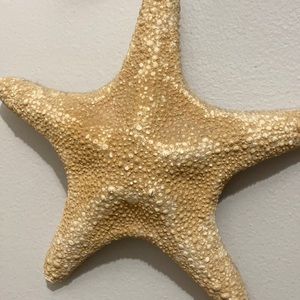 Meet your Posher, Omar